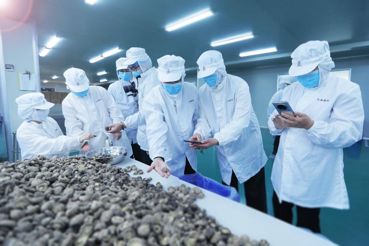 助力乡村振兴，养固健中草药溯源挂牌庆元香菇黄金种植带
