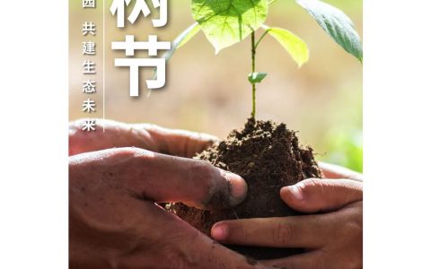 和治友德 | 植树节：守护绿色家园，共建生态未来
