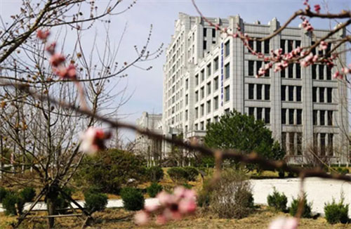 载誉而归 双迪闪耀“中国社交商业财富大会”