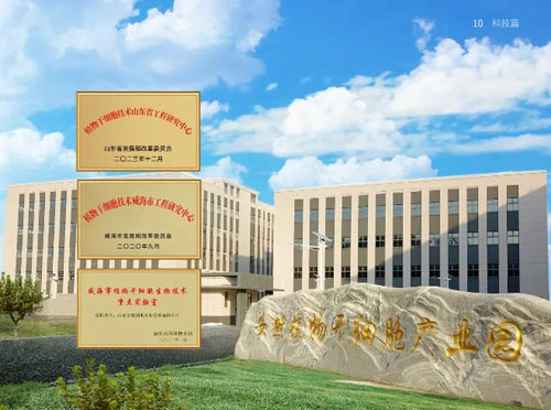 安然2025 OPP 讲师大赛(初赛)圆满举行