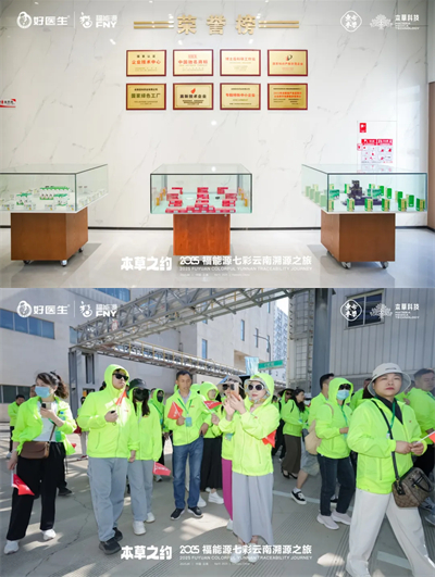 本草之约 2025福能源七彩云南溯源之旅启幕