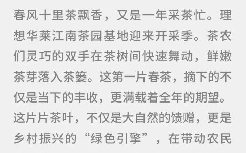 理想华莱 一周简讯 第十一期