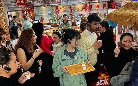 荷兰海牙大学师生沉浸式体验同仁堂中医药文化