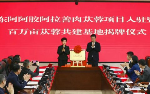 东阿阿胶“阿拉善肉苁蓉项目”入驻仪式举行