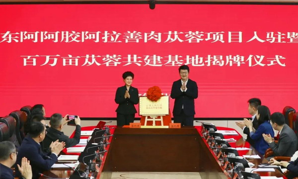 东阿阿胶“阿拉善肉苁蓉项目”入驻仪式举行