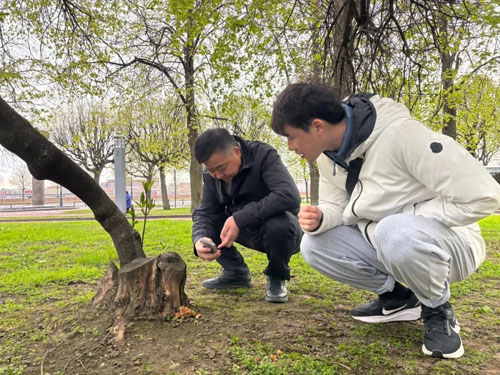 520|2025安惠俄罗斯尊享之旅圆满成行