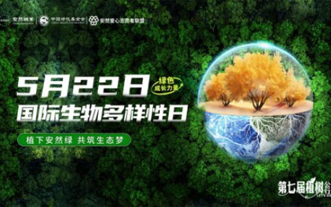 共筑生态梦 安然集团7年共累计植树42公顷
