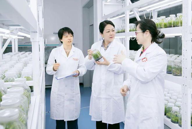 绿之韵集团荣获湖南省“专精特新”中小企业称号
