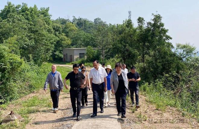 绿之韵集团董事长胡国安随市人大常委会一行赴雨花区开展乡村振兴执法检查工作