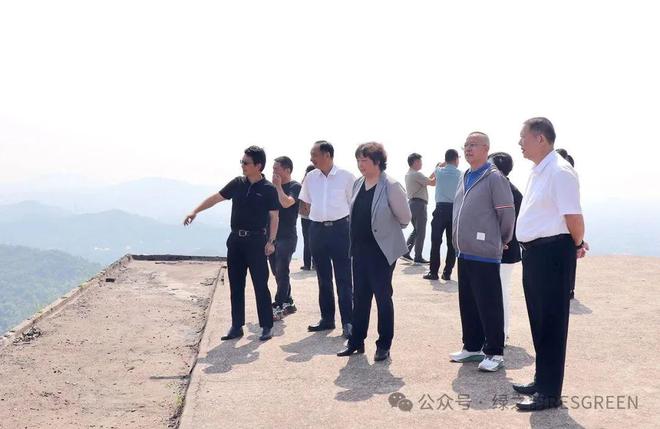 绿之韵集团董事长胡国安随市人大常委会一行赴雨花区开展乡村振兴执法检查工作