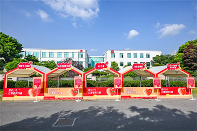 三生宝哥匠心作：这六个字，装着我的初心和梦想