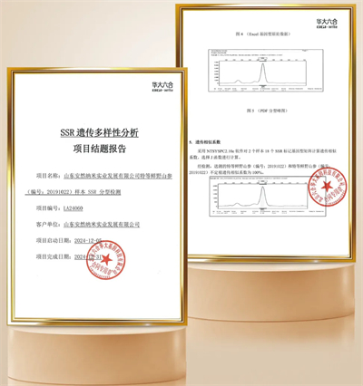 安然集团承办“行业商会、协会交流”活动威海开启