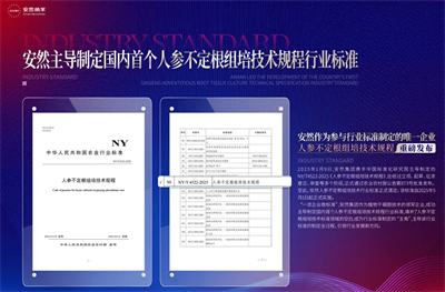 安然集团承办“行业商会、协会交流”活动威海开启