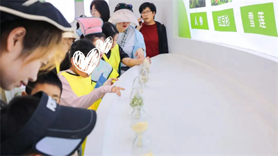 “安然相伴 樱爱同行”暖心关爱活动圆满举办