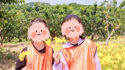 “安然相伴 樱爱同行”暖心关爱活动圆满举办