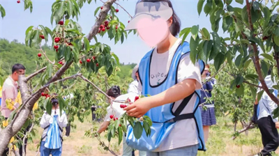 “安然相伴 樱爱同行”暖心关爱活动圆满举办