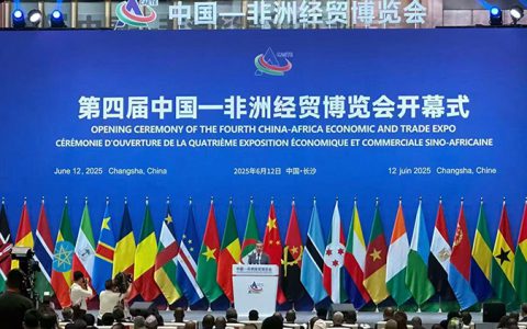 理想华莱以茶为媒,“盛装”赴会第四届中非经贸博览会
