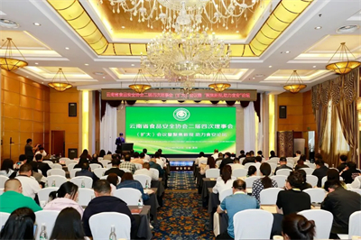 理想华莱出席云南省食品安全协会二届四次理事会