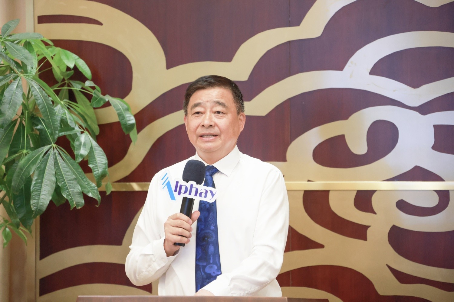 图片关键词
