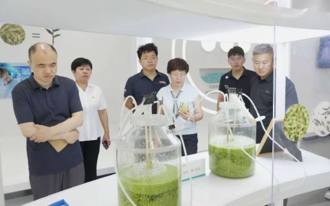 河北省县域特色产业集群提档升级调研组莅临金木集团
