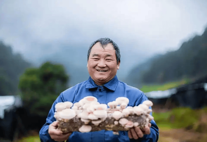 无限极 | 关于寻找道地药材的故事，从这条通向远方的路说起
