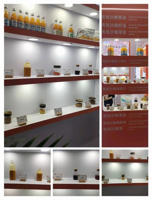 宇航人沙棘产品参展FIA 2025开启全球新征程