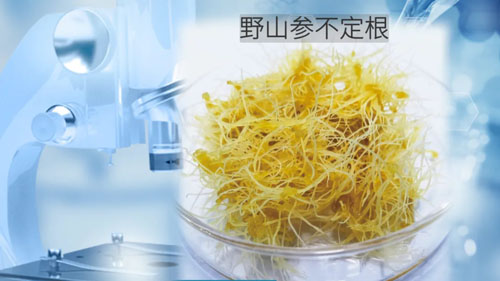 美容化妆品领域 安然集团再添两项耀眼勋章