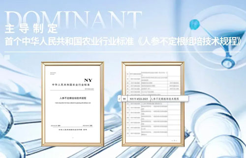 美容化妆品领域 安然集团再添两项耀眼勋章