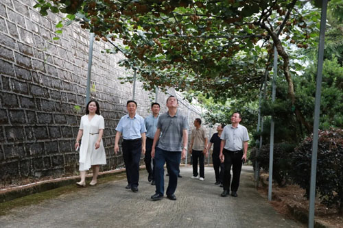 福建省市县三级侨联莅临安发生态科技园指导