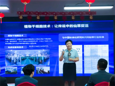 安然2025下半年OPP擂台争霸赛华东区举行