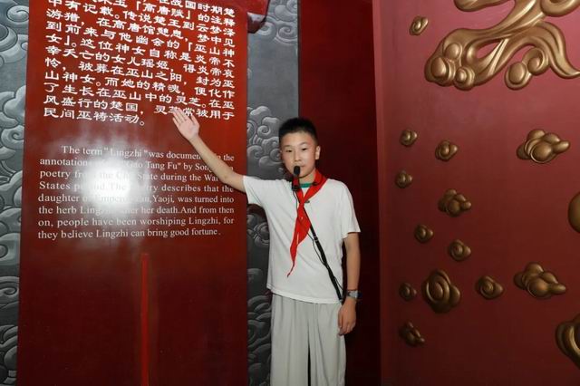 萌娃变身文化使者带你探秘安惠灵芝奇幻世界
