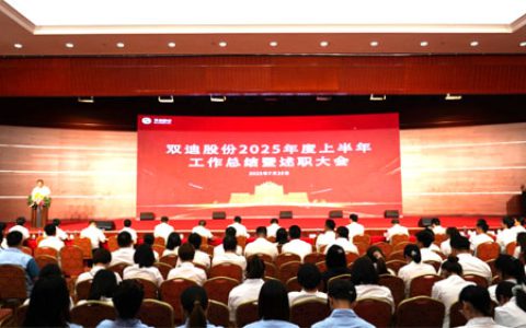 双迪2025上半年工作总结暨述职大会召开