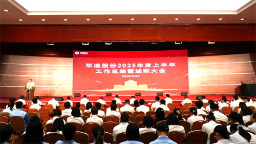 双迪2025上半年工作总结暨述职大会召开