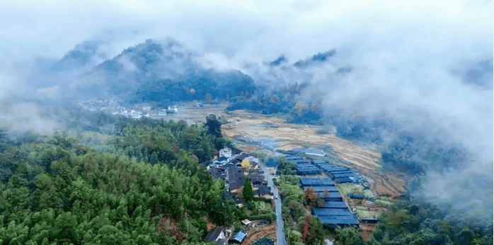 无限极 | 关于寻找道地药材的故事，从这条通向远方的路说起
