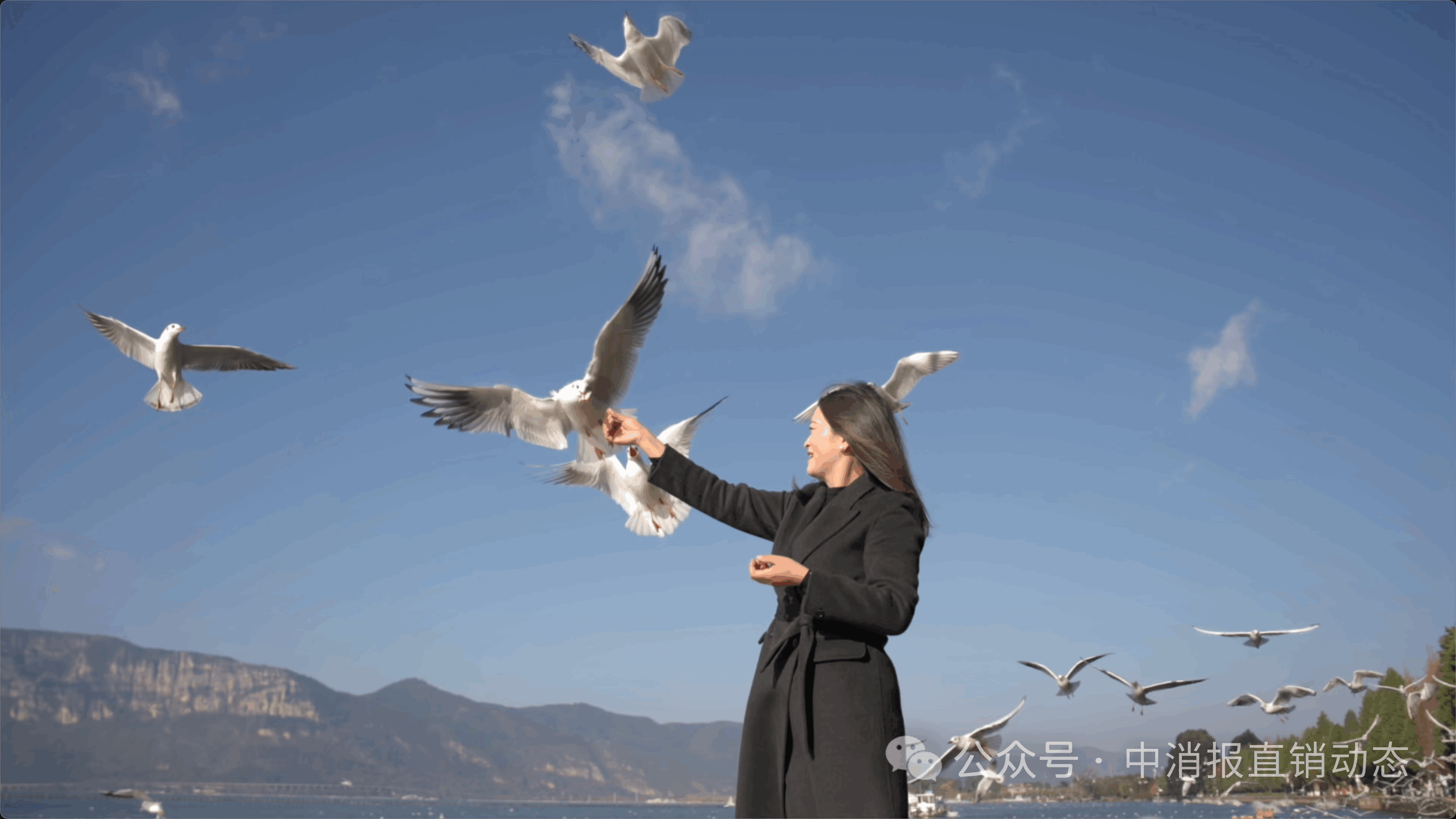 微信图片_2025-07-08_103851_838.png