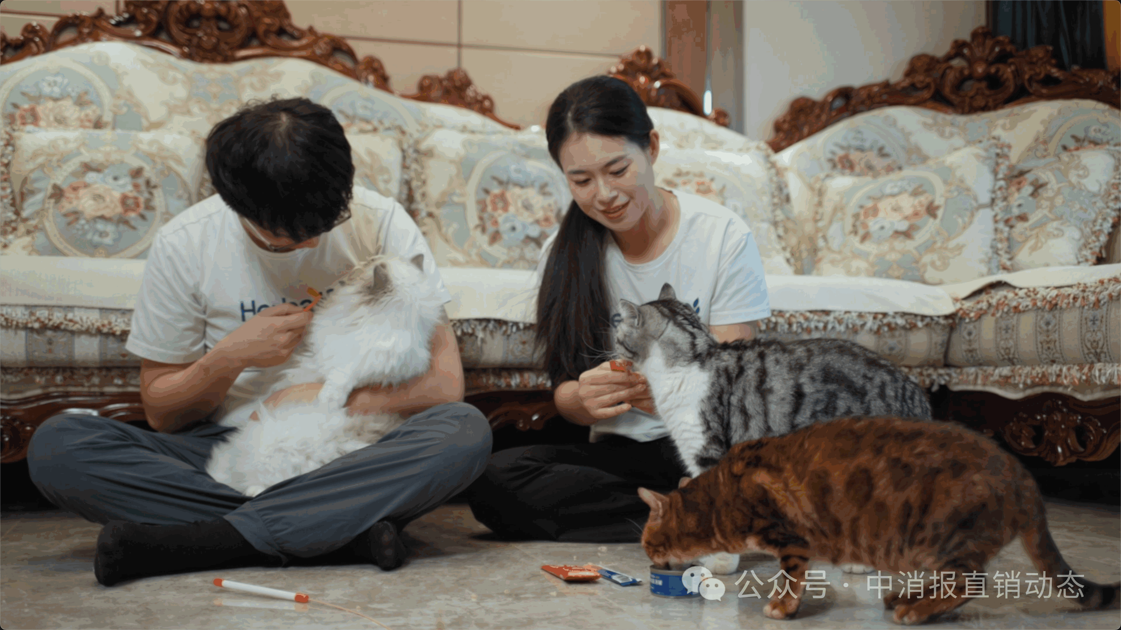 微信图片_2025-07-09_102357_495.png
