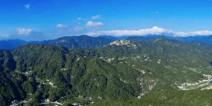 无限极 | 关于寻找道地药材的故事，从这条通向远方的路说起