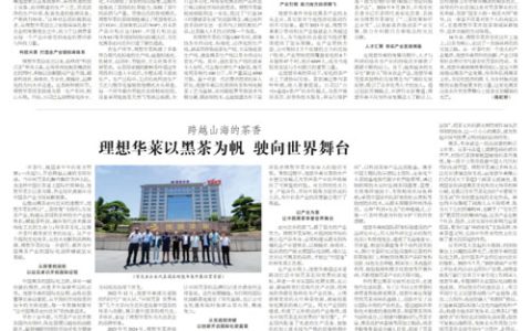 理想华莱：科技赋能黑茶产业 引领安化腾飞