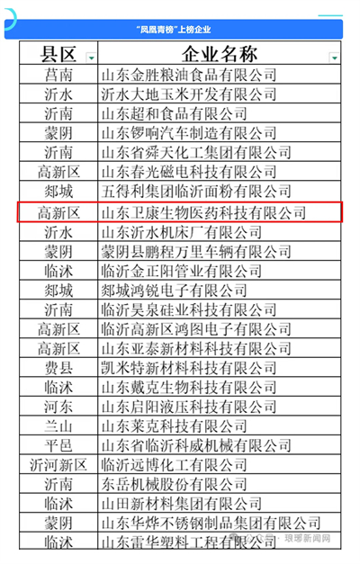 卫康荣登临沂“凤凰榜”：科技创新与社会责任铸就“凤凰传奇”