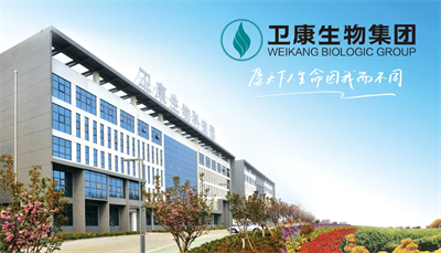卫康荣登临沂“凤凰榜”：科技创新与社会责任铸就“凤凰传奇”