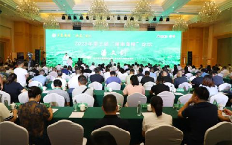 绿之韵胡国安参加湖南黄精论坛 共探黄精产业发展新路径