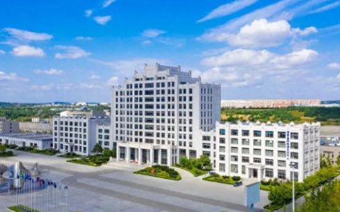 双迪与十多家“中字头”企业共同登上荣耀榜单