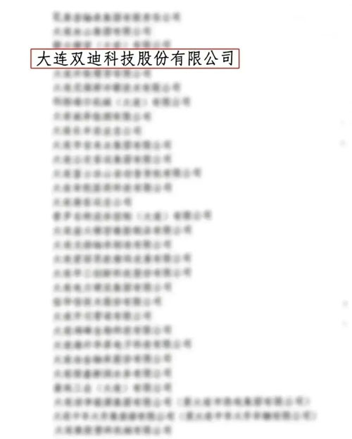 双迪与十多家“中字头”企业共同登上荣耀榜单