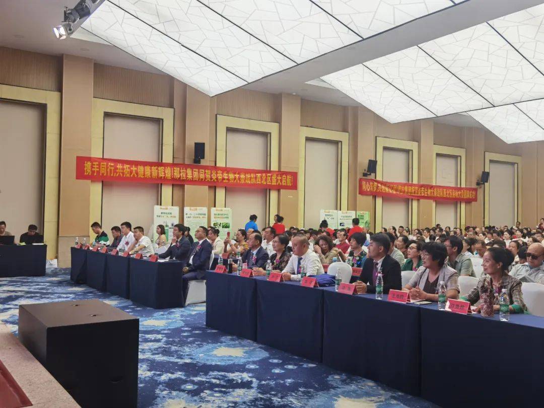 炎帝双城记：西安点燃大秦战火，镇江扬帆数字梦想