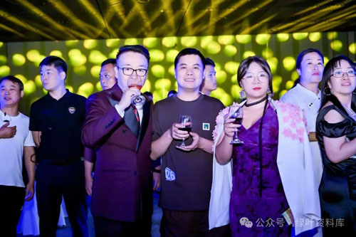绿叶爆品发布会暨2025上半年度表彰盛典举行