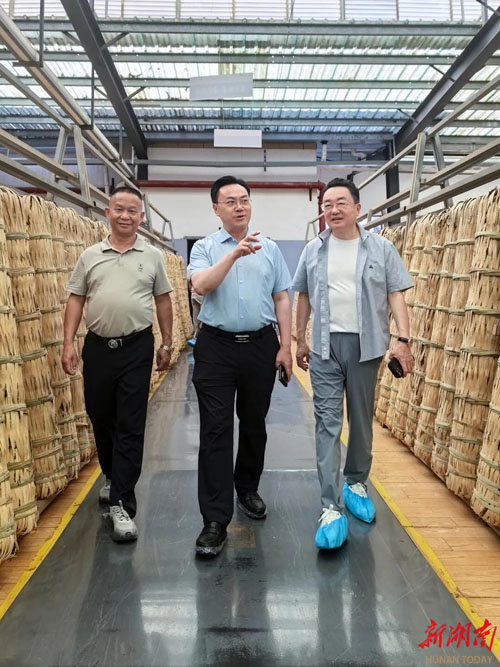 新湖南丨理想华莱：以茶为媒助力产业振兴