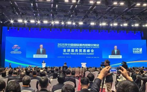 罗麦总裁安凯出席全球服务贸易峰会开幕式