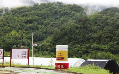 无限极海外市场全球溯源之旅探访赤灵芝基地