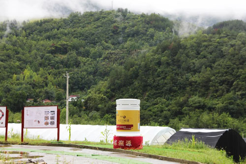无限极海外市场全球溯源之旅探访赤灵芝基地