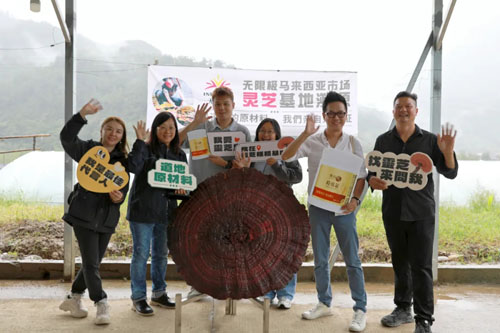 无限极海外市场全球溯源之旅探访赤灵芝基地